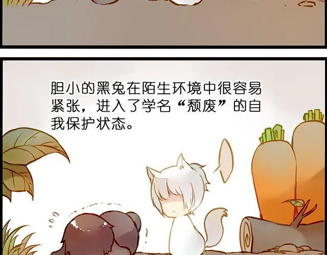 好的，主人 第41页