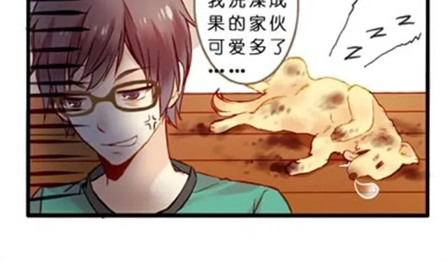 不吃兔子的狼 第6页