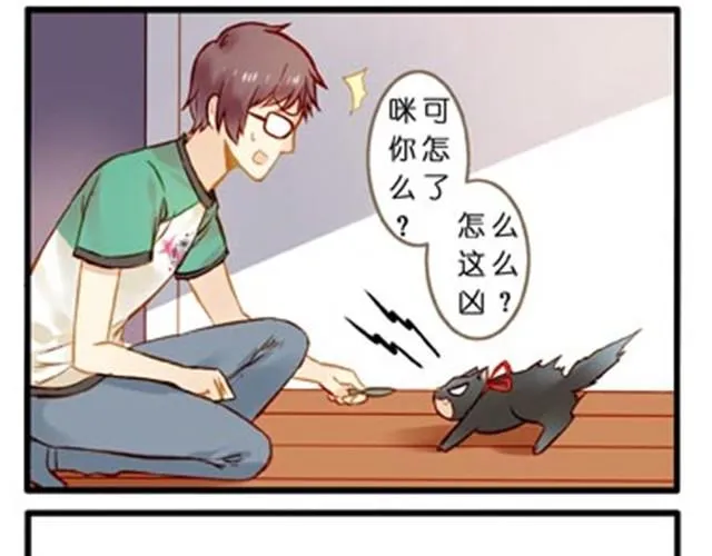 不吃兔子的狼 第8页
