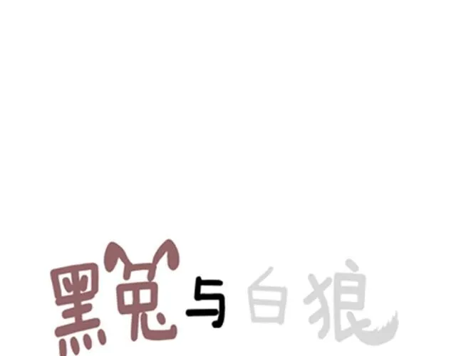 不吃兔子的狼 第11页