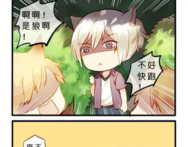 不吃兔子的狼 第16页