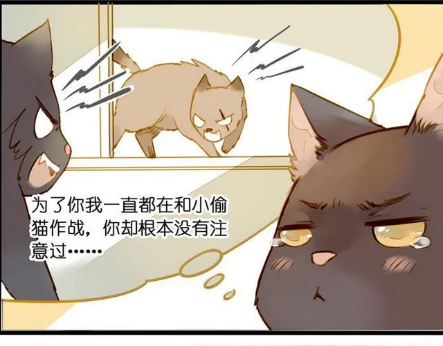 再也不要喜欢你了 ！ 第5页