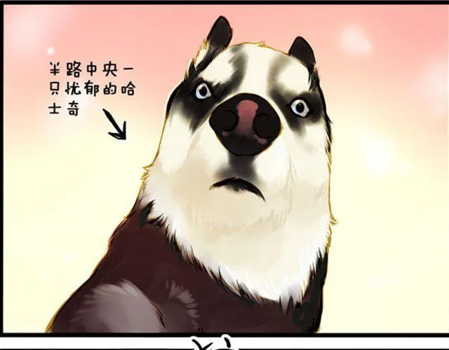 化险为夷 第14页