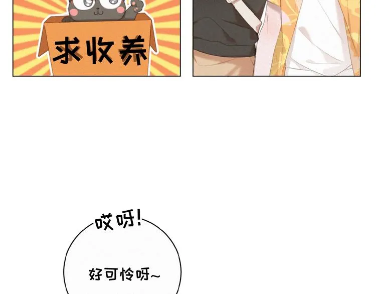 第34话 死缠烂打的小猫咪 第40页