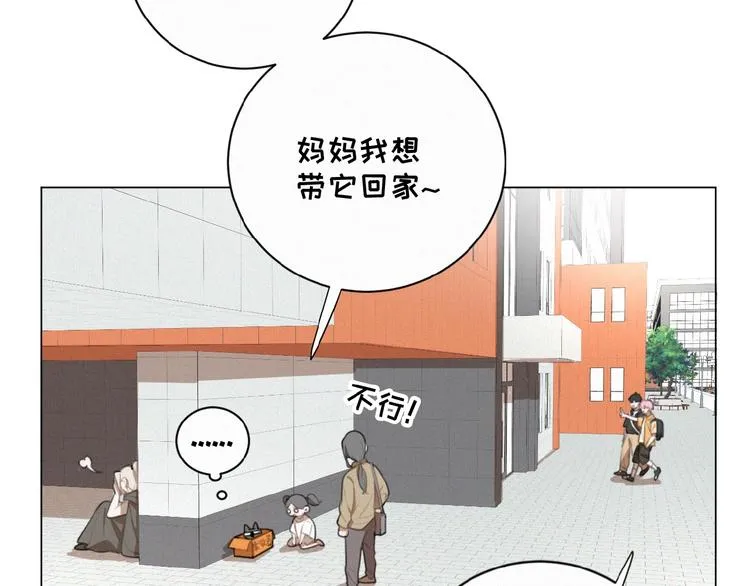 第34话 死缠烂打的小猫咪 第41页
