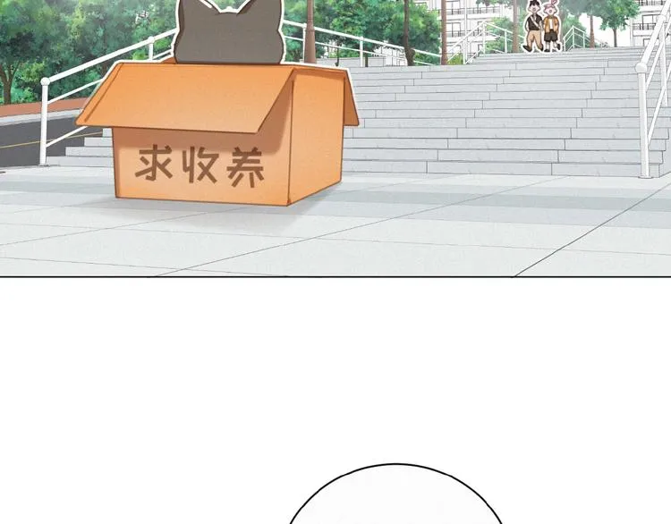 第34话 死缠烂打的小猫咪 第46页