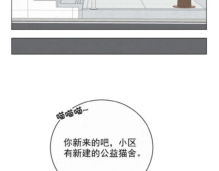 第34话 死缠烂打的小猫咪 第48页
