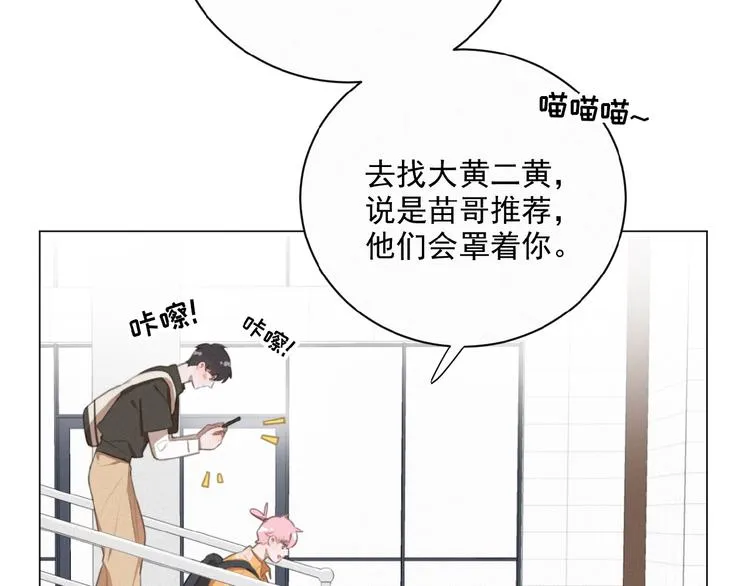 第34话 死缠烂打的小猫咪 第49页