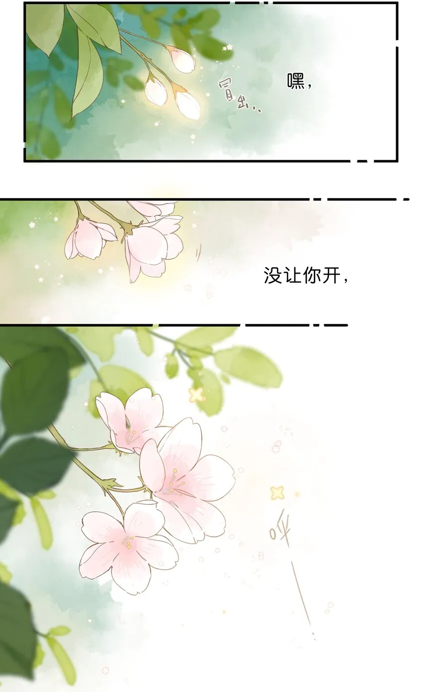 第40话 悄然无声的绽放 第35页