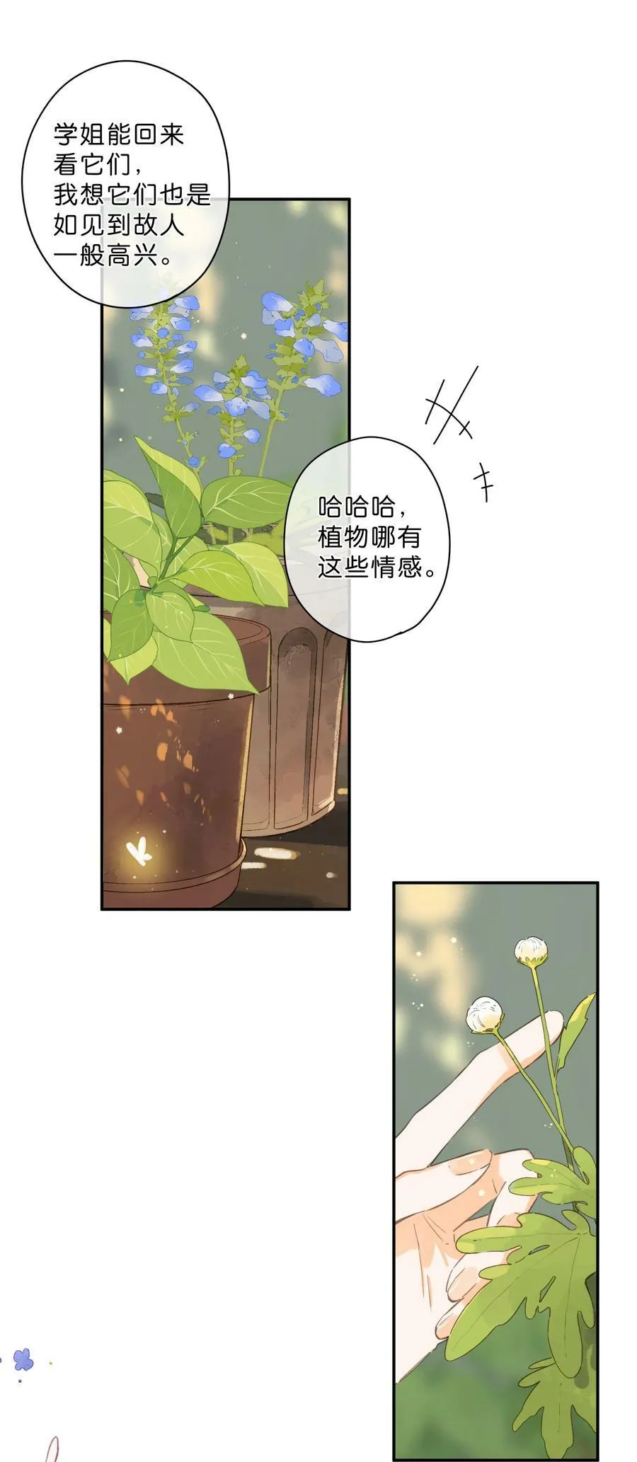 第65话 藏在温室里的怀念 第29页