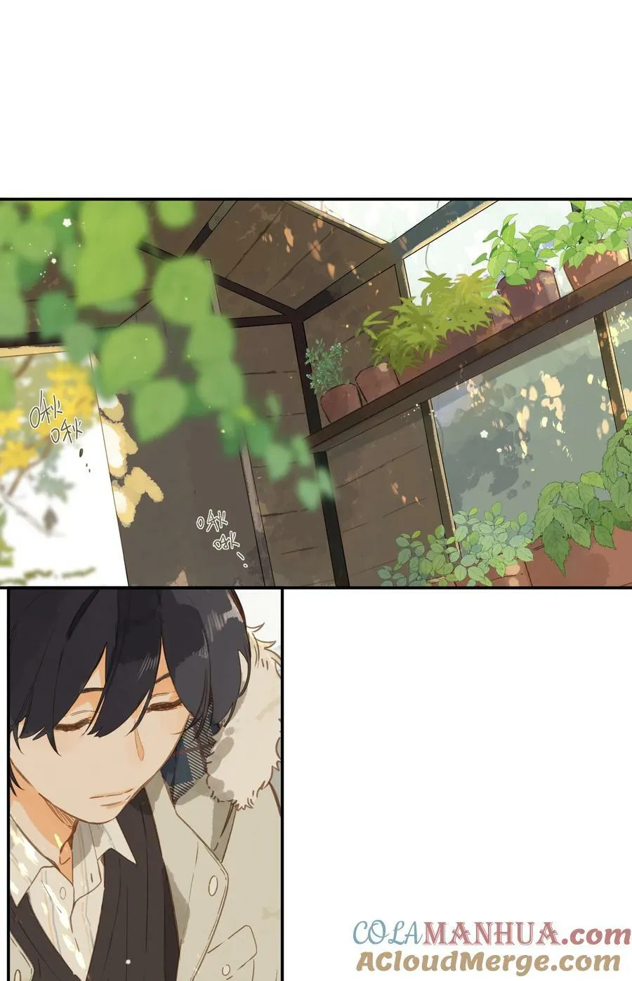 第65话 藏在温室里的怀念 第49页