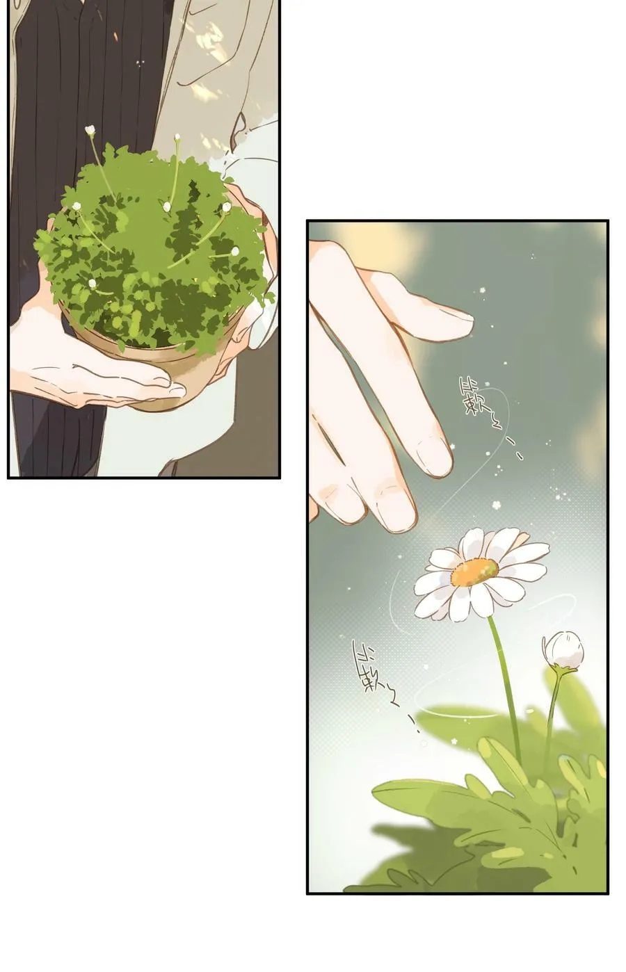 第65话 藏在温室里的怀念 第50页