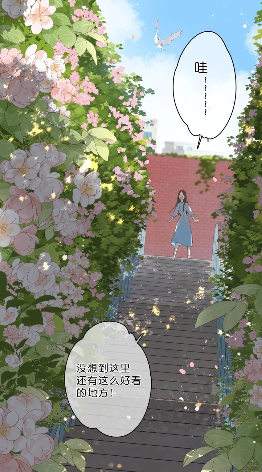 第2话 向阳花屋 第12页