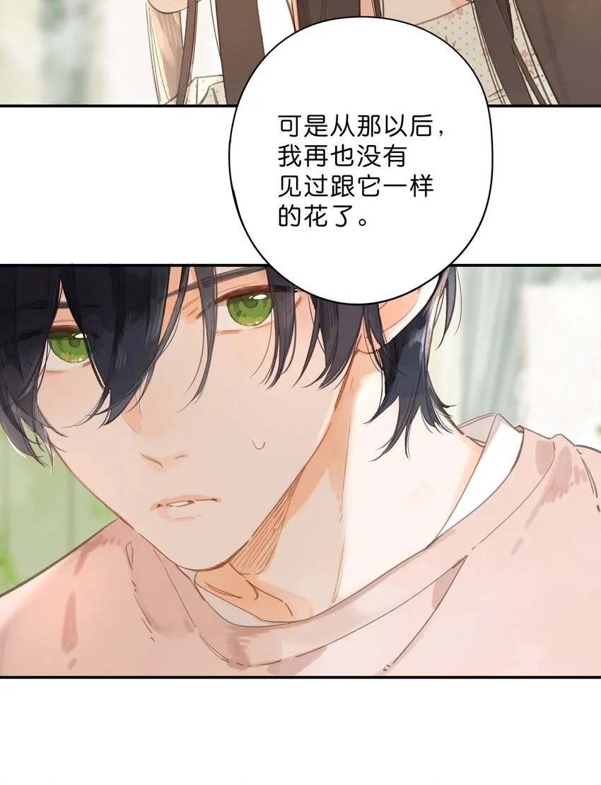 第8话 挂坠里的花瓣 第37页