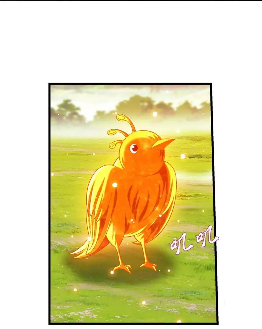 657 柳炎要自爆！ 第29页