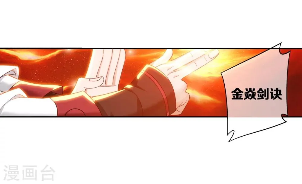 第196话 终极一剑 第14页