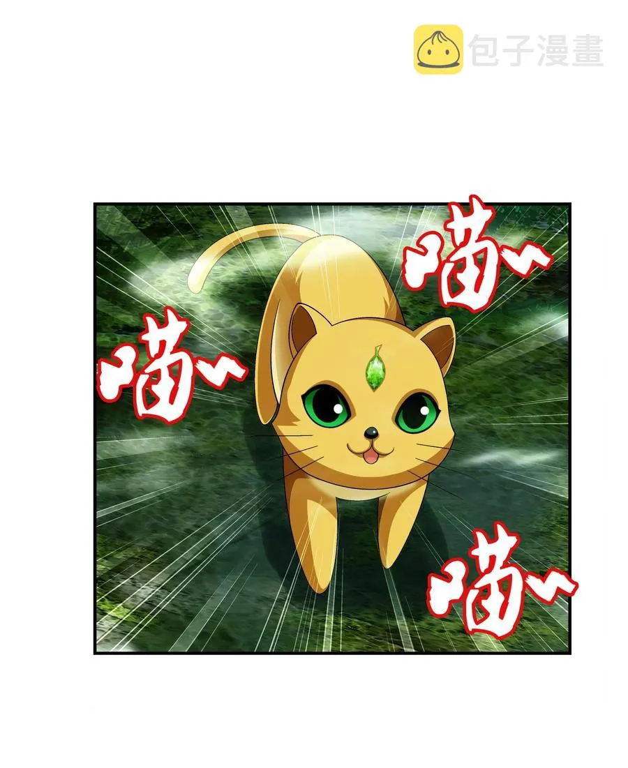 493 小猫？咪？ 第28页