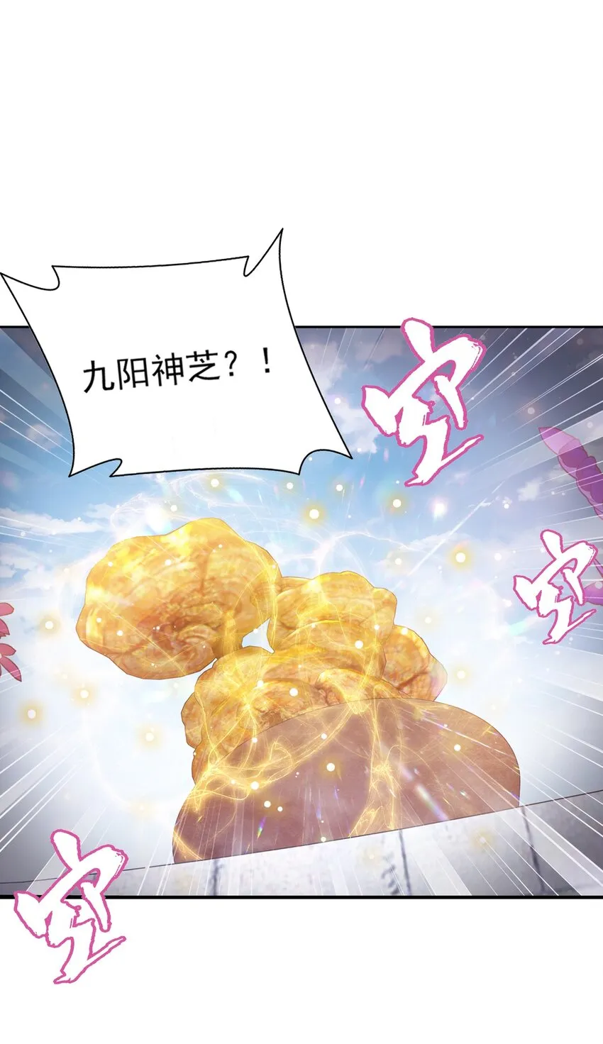 511 九阳神芝 第2页