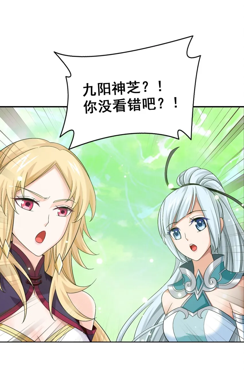 511 九阳神芝 第7页