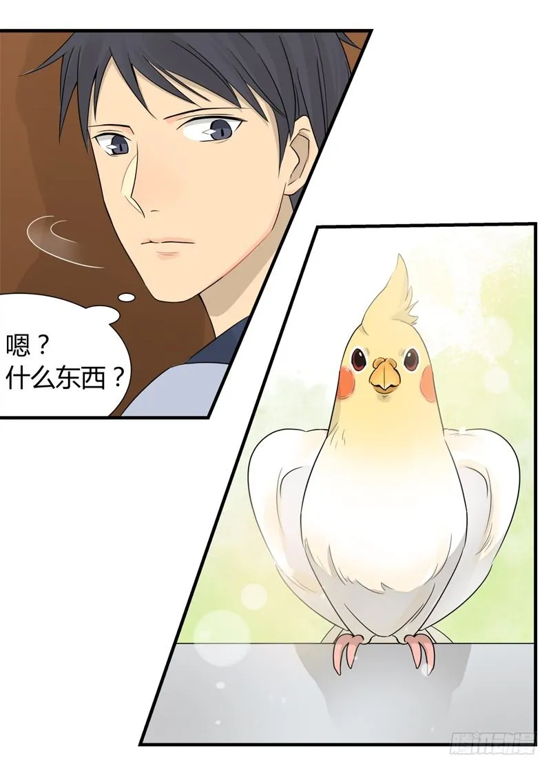 第015话 拜托那是窗帘啊 第6页
