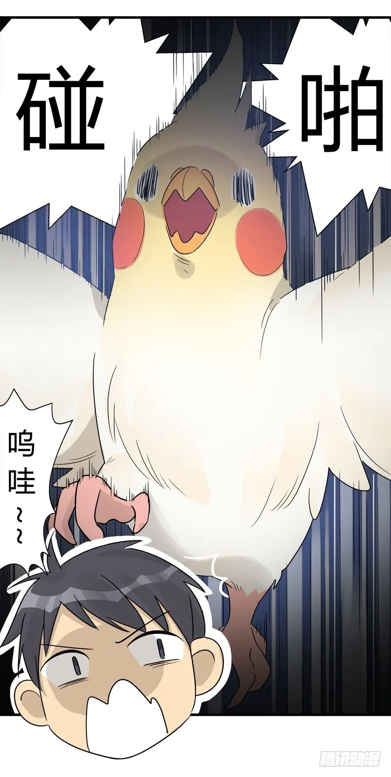 第015话 拜托那是窗帘啊 第7页