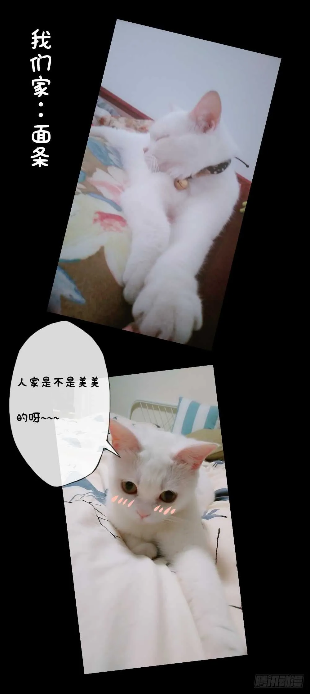 第58话：替你找夫君~ 第32页