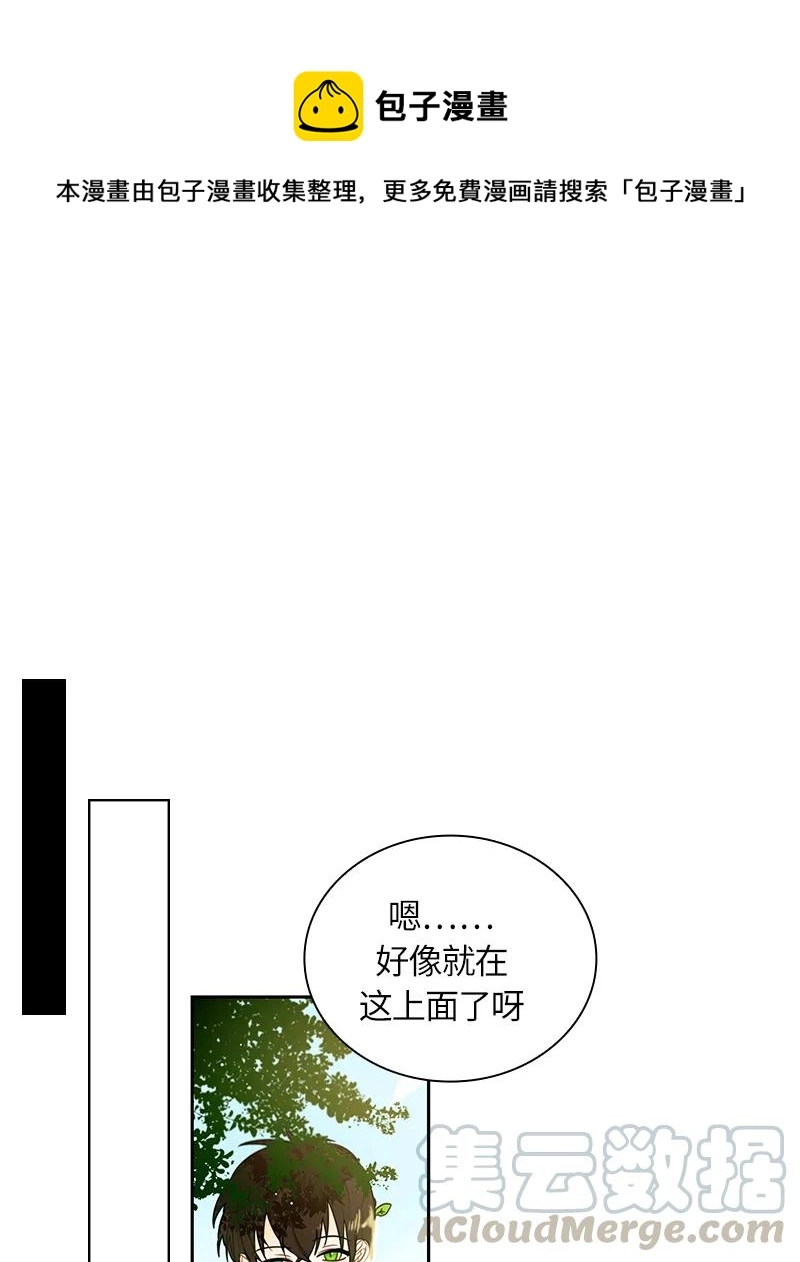 042 第四十二章 第1页