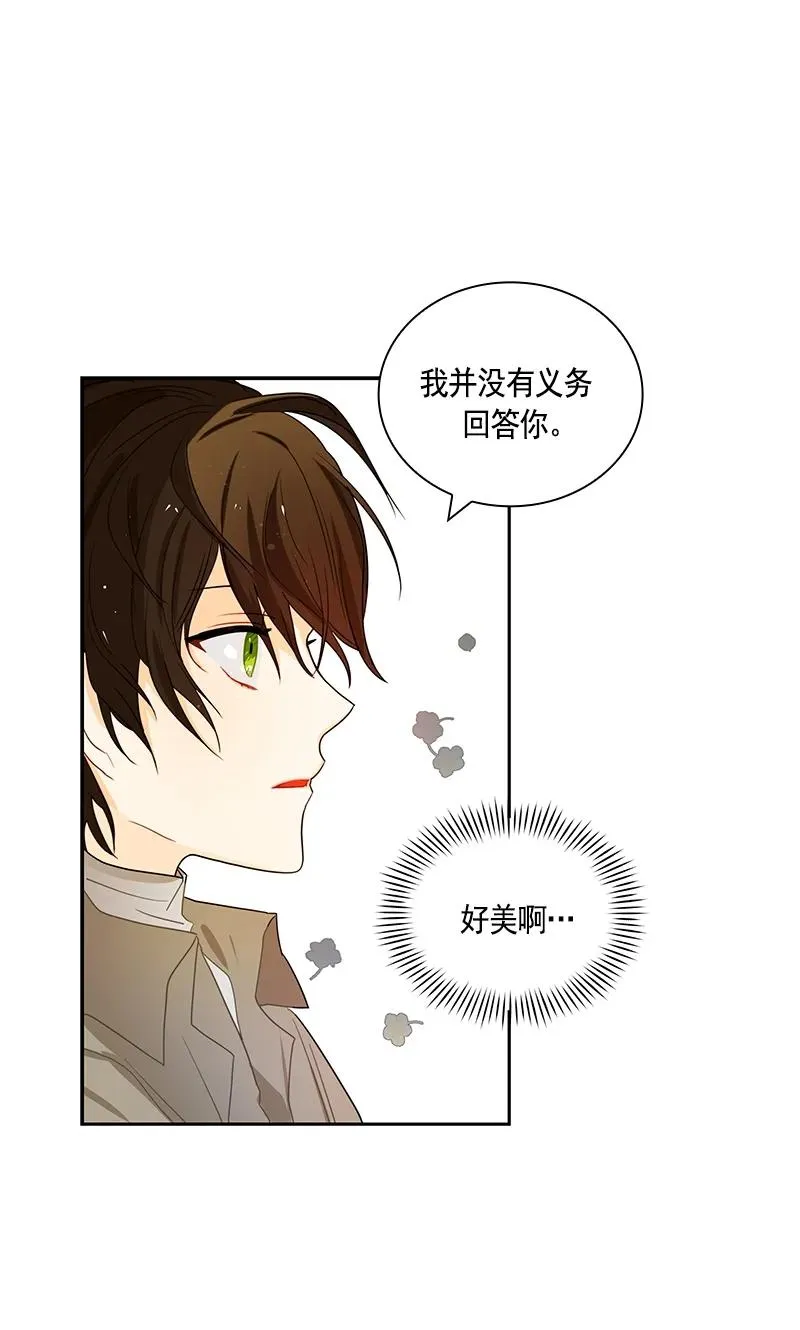 073 第七十三章 第11页