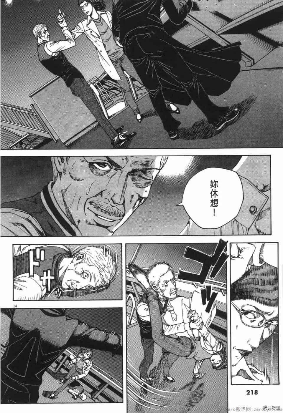 第13卷 第219页