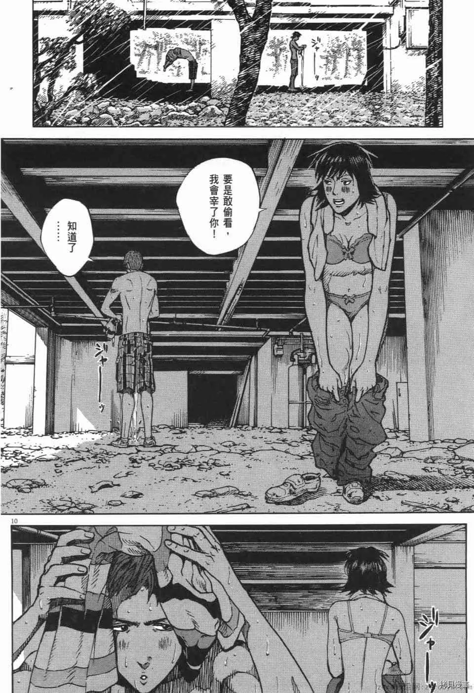 第10卷 第106页