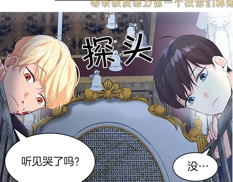 魔法师变成团宠小公主 第33页
