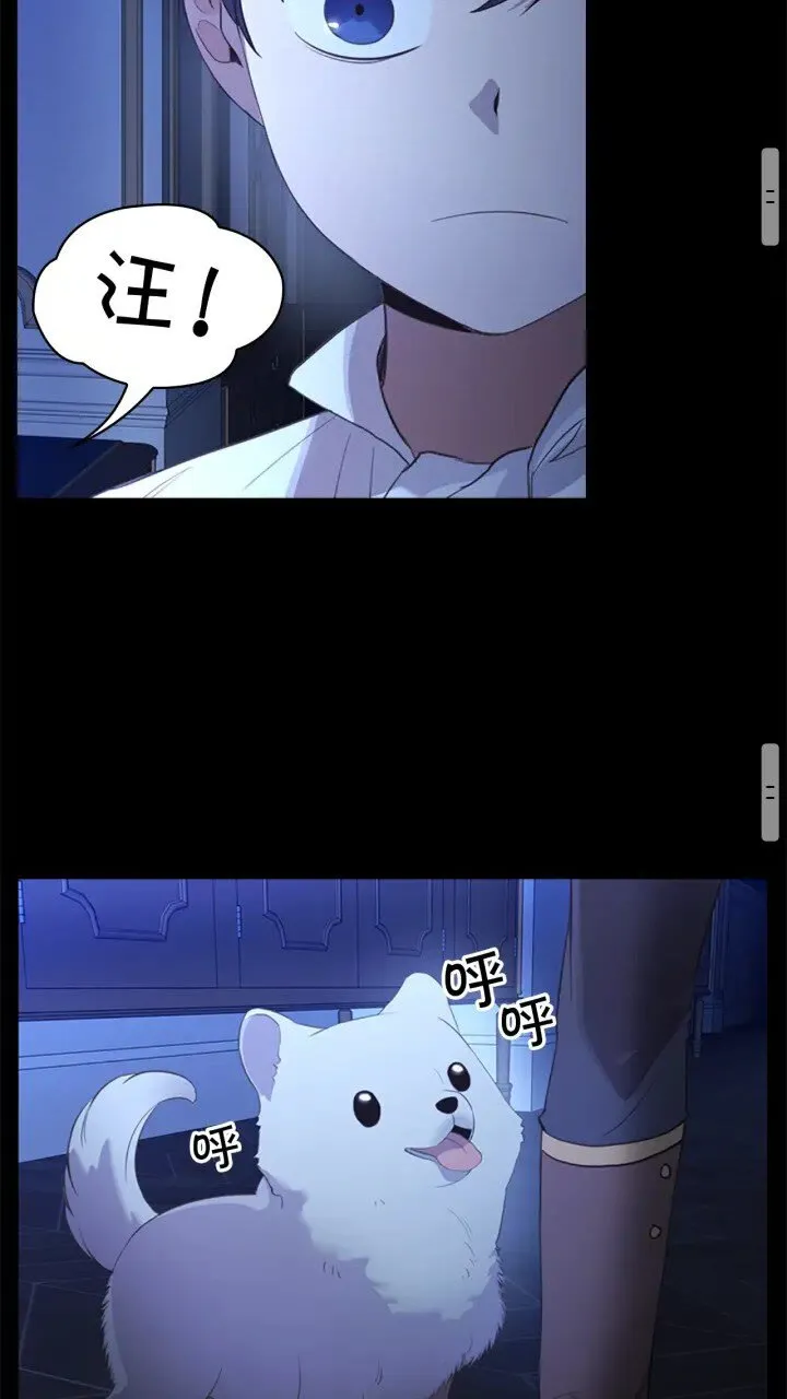 第22话 质子身世的真相 第37页