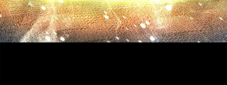 第59话 请做我的主人！ 第43页
