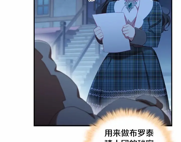 第61话 打造专属骑士团 第29页