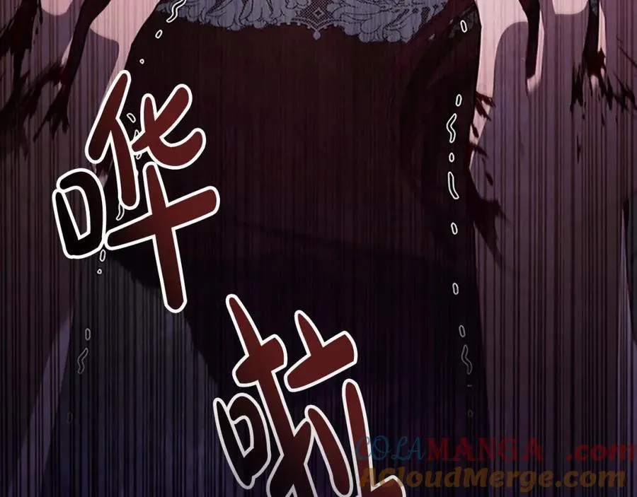 第161话 不准欺负大法师！ 第185页