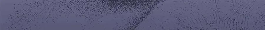 第164话 不要喜欢他 第26页