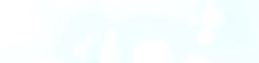 第179话 不惜代价 第10页