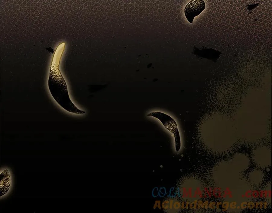 第179话 不惜代价 第205页