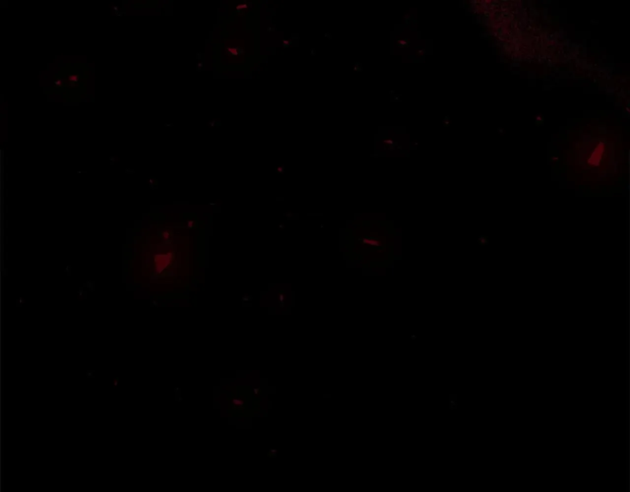 第189话 责任与义务 第104页