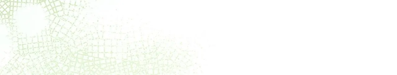 第193话 该回家了 第150页