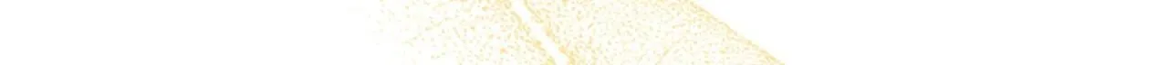番外15 拿到陨石 第63页