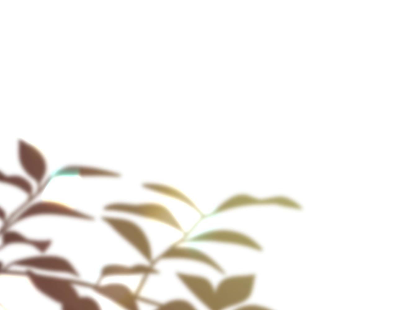 番外27 无上荣幸 第60页