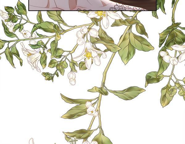 第153话 轮流说服 第70页