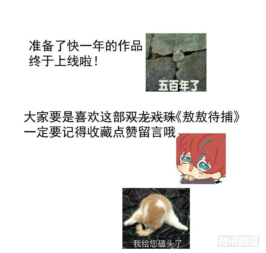 第一话 小心翼翼 第63页