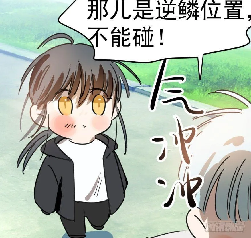 第二十五话 触碰逆鳞 第27页