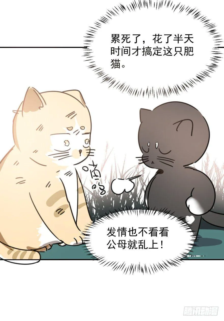 第二十五话 触碰逆鳞 第45页