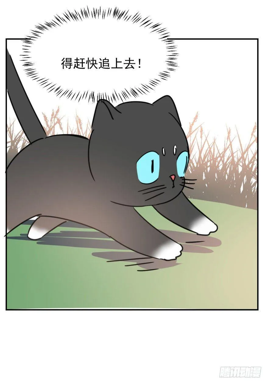 第二十五话 触碰逆鳞 第47页