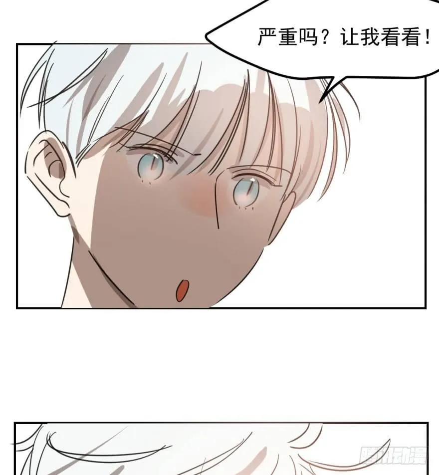 第四十二话 花卉养护 第73页