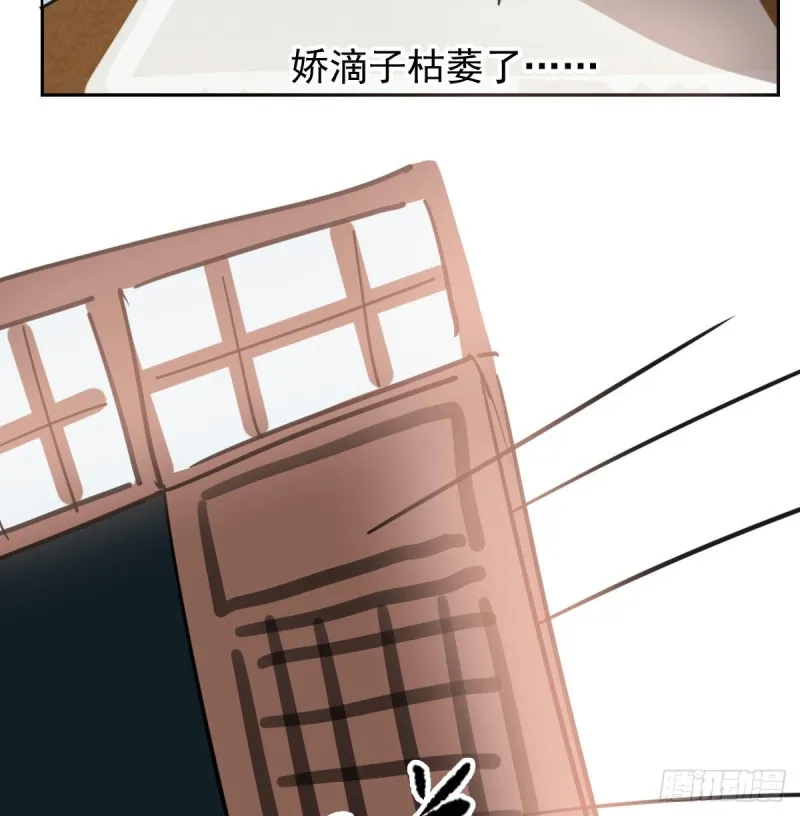 第116话 玄月走了 第13页