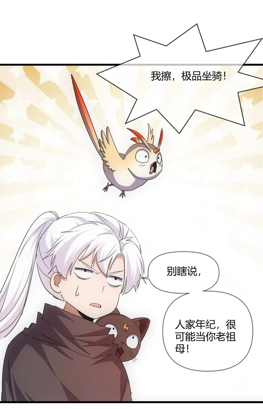 172 极品坐骑白子矜 第36页